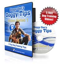 the online dog trainer by doggy dan
